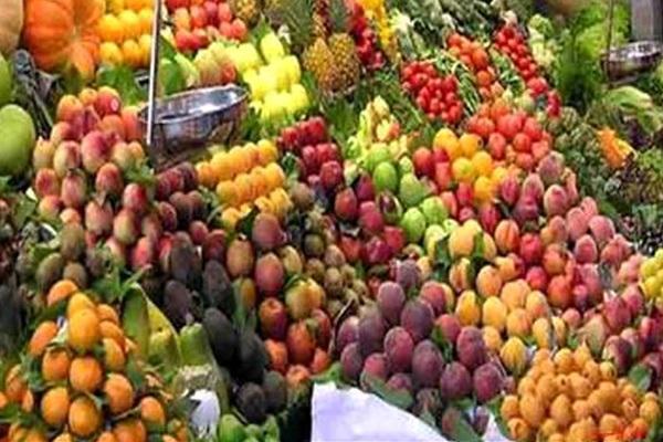 کارگر: میوه فراوان است، قیمت هویج به ثبات رسیده